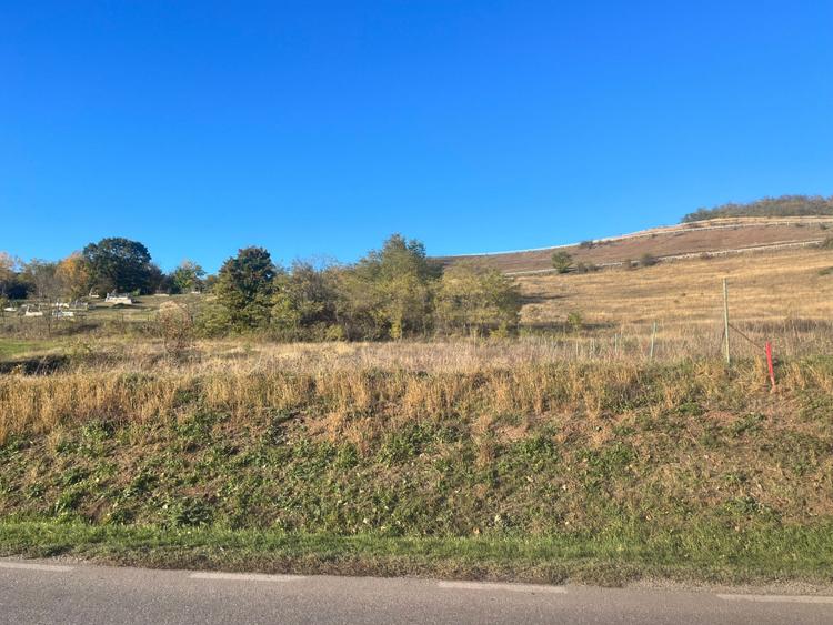 Teren intravilan de vânzare – Hăpria, jud. Alba | 700 Mp .