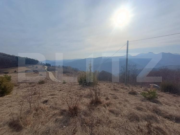 Teren extravilan, 12000 mp, curent com. Ramet