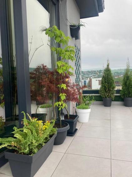 Penthouse de inchiriat in Borhanci, terasa generoasa