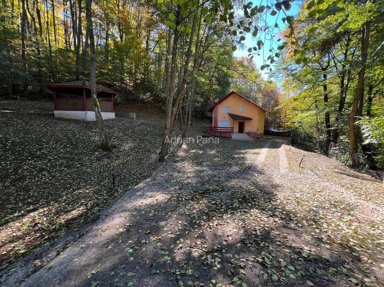 Vila de Vanzare 20 km  PITESTI ; P+1 complet utilata - 4 cam : 96.000 EUR , neg. - 2