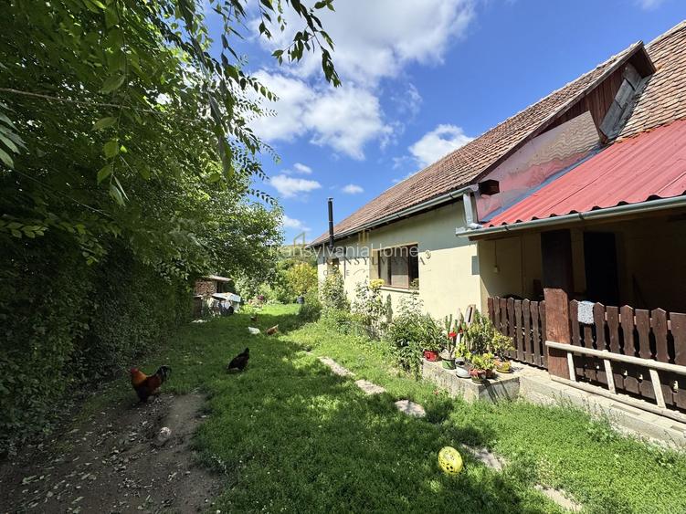 Casă la țară cu teren generos în satul Ruși - 5