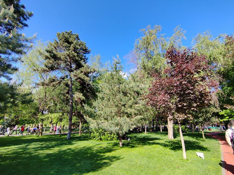 Tineretului parc| 2 Camere | Pet friendly |Disponibil imediat | Parcare - 7