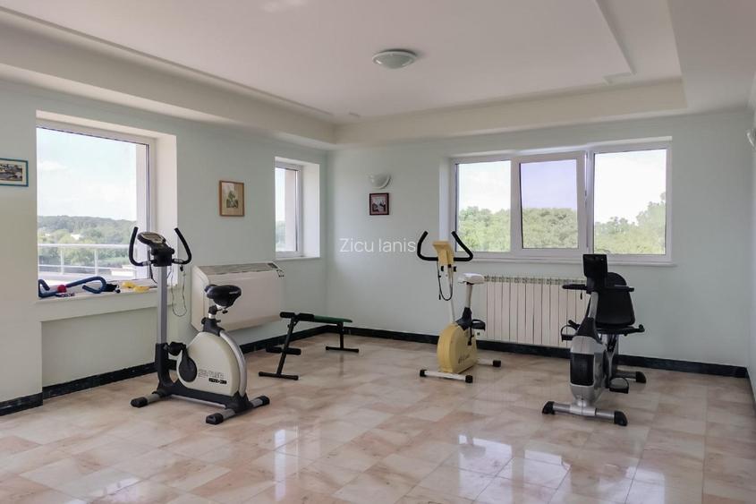 Vila cu iesire la lac Snagov  proprietar - 14