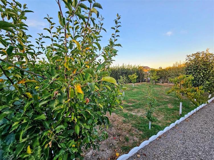 Casa 4 camere, constructie 2015, teren 1000 mp, Varsatura