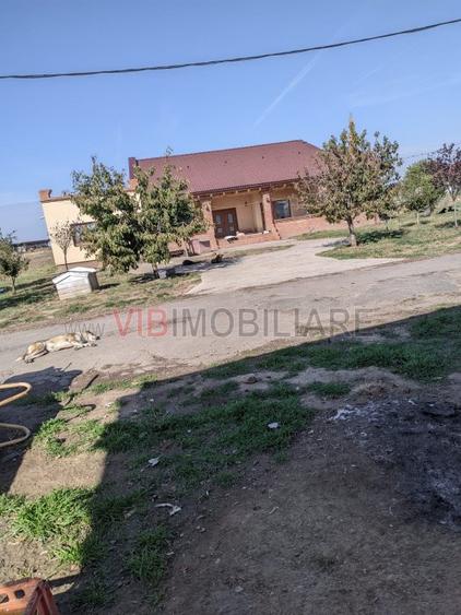 Ferma Zootehnică– Satchinez,  | 9,5 ha teren,vanzare sau schimb pentru jumatate