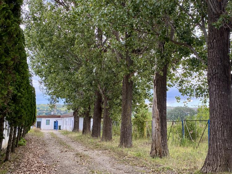 Spațiu Industrial, Logistic 2.500 mp, Teren 6.500 mp, Acces TIR, A7 Buzau