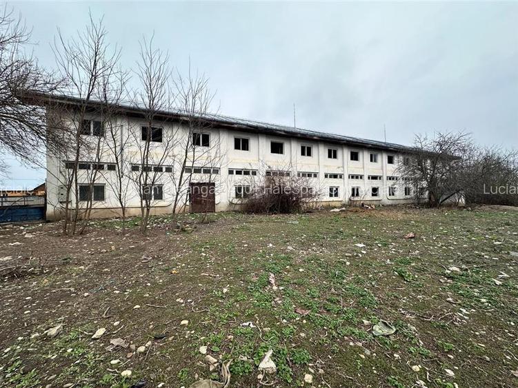Hala, spatiu comercial, vad, de la 423mp la 1744mp, Vama Albita - 24