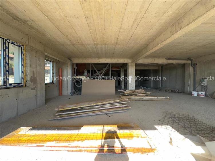 Spatiu comercial Valea Lupului - Rond Pacurari, Sedes, 176mp - 6
