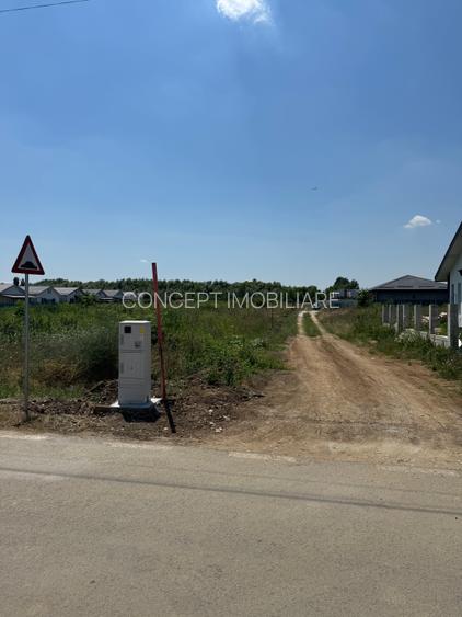 Domnesti - Strada Salciei - Teren intravilan 500 mp x 2 loturi - 5