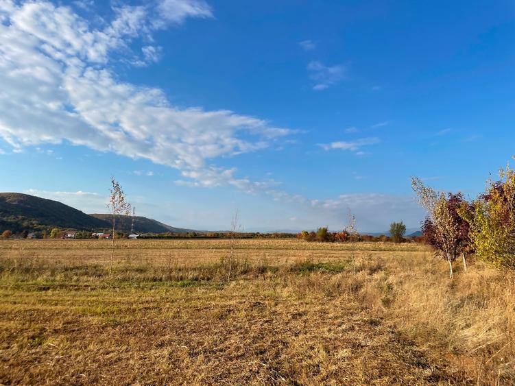 Teren intravilan 2992 mp, deschidere 30 m, utilități Măgureni, Prahova