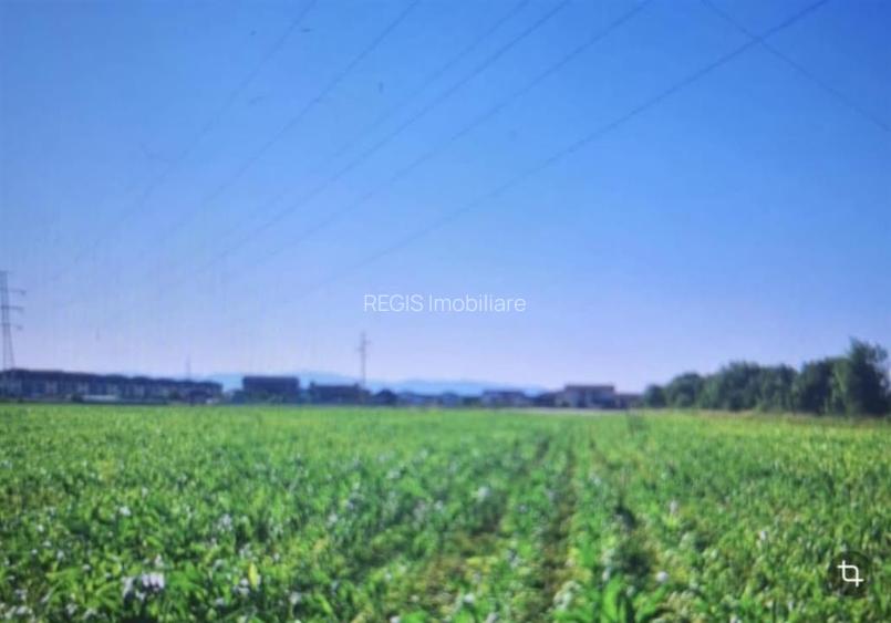 Teren intravilan de vanzare – Sanpetru, Brasov | 500 mp | Ideal pentru casă - 4