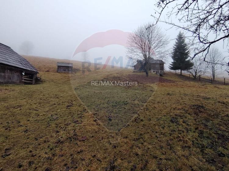 Teren INTRAVILAN 23.238m.p. Dorna-Arini / Cozănești - 9