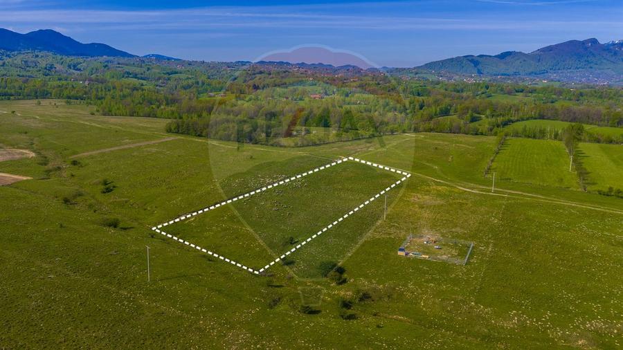 Teren 1ha, extravilan Rasnov / Agricultură sau fermă/ COMISION 0%