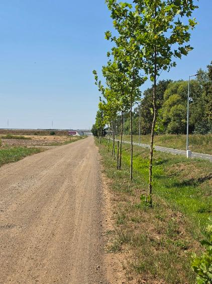 Teren proprietar Pădurea Bistra