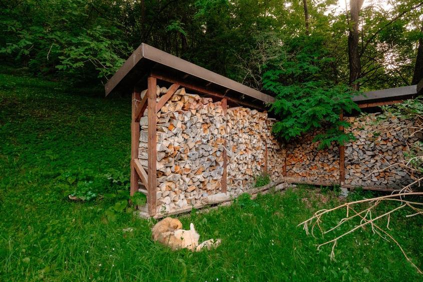 Casă de vânzare cu teren 2.340 mp și pârâu propriu — Bălilești, Argeș - 26