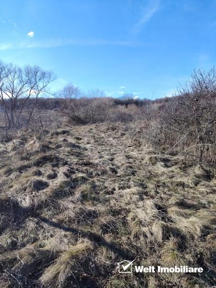 Teren intravilan, cu potential mare