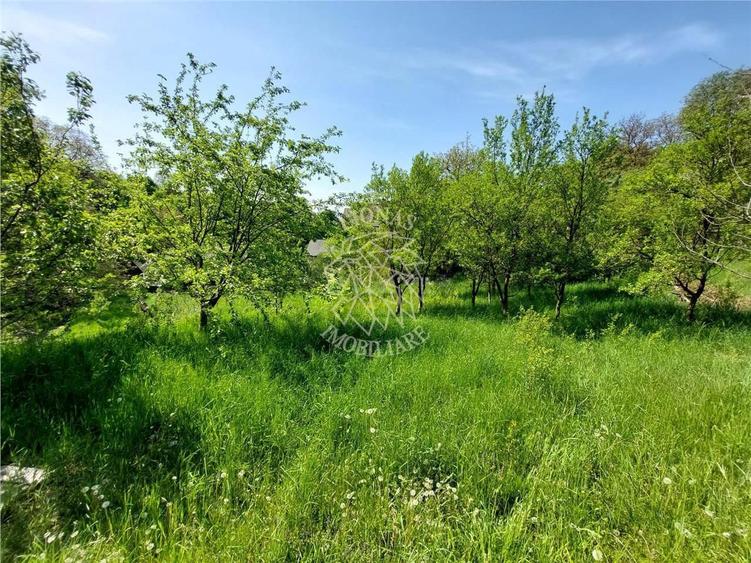 Cabana/ Casa Vacanta-4 camere-gradina 1800 mp- Mijlocenii Bargaului