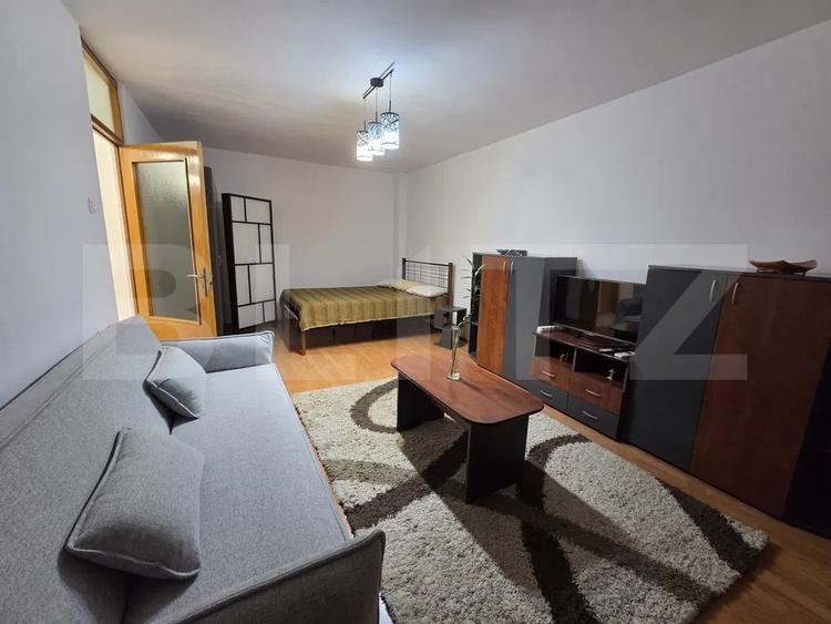 Apartament 1 camera, 42 mp, pet-friendly, zona Mehedinti
