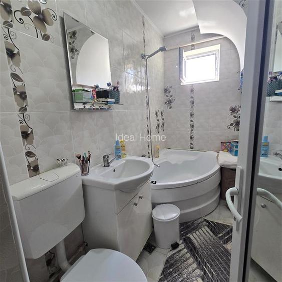 Apartament 1 camera Alexandru-Parcul voievozilor - 3