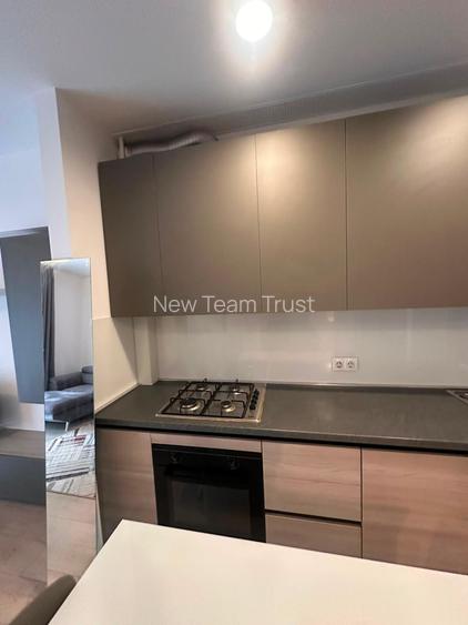 Vanzare Apartamente 2 camere Pipera Iancu de Nicolaie - 8