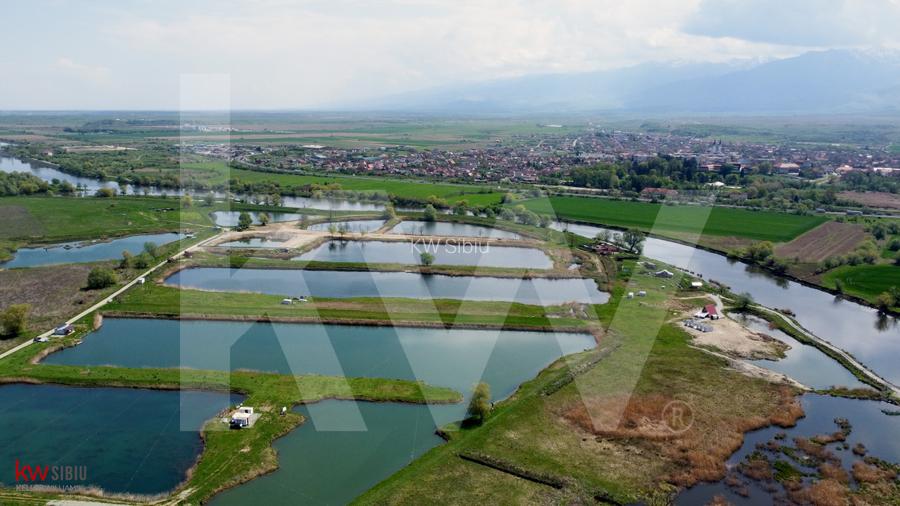 Teren Extravilan cu lac – Investiție în Natură și Agrement | 35.251 mp - 7