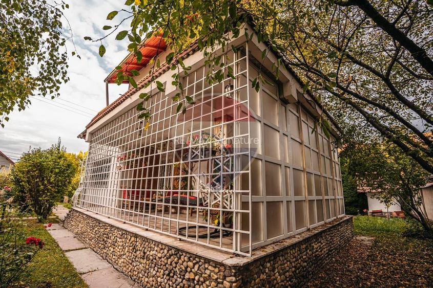 DE VANZARE Casă-muzeu în Răzvad | Reședință unică, 391 mp - 33