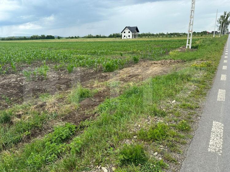 Teren intravilan ,4900 mp , 25ml front, Fratautii Vechi, Radauti - 3