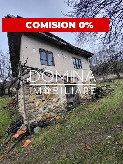Teren generos 4790 mp + casă tradițională, în loc. Mușetești