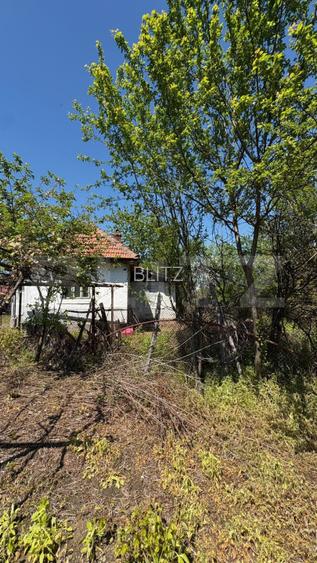 Casa cu teren 1100 mp și hala în curte, sat Cârbești - 5