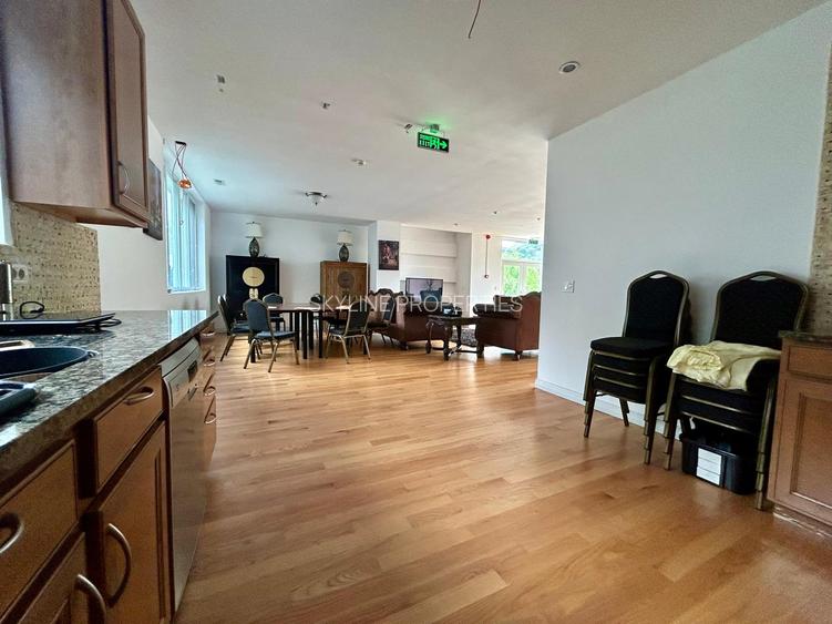 Duplex voluminos, perfect pentru un bussines sau o familie numeroasa