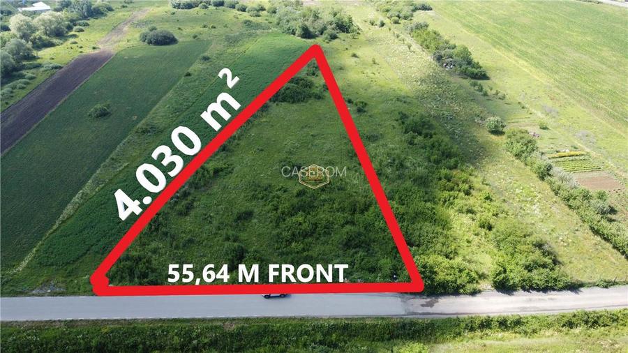 Investitie | Teren 4.030 m² in Satu Mare | Amatiului - Drum asfaltat - 5