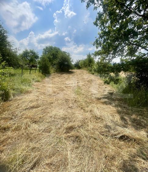 Teren intravilan 3.200 mp | Budacu de Jos | Deschidere la 2 drumuri asfaltate - 2