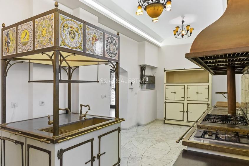 Vila Constantin Silvestri din Dorobanti - 36