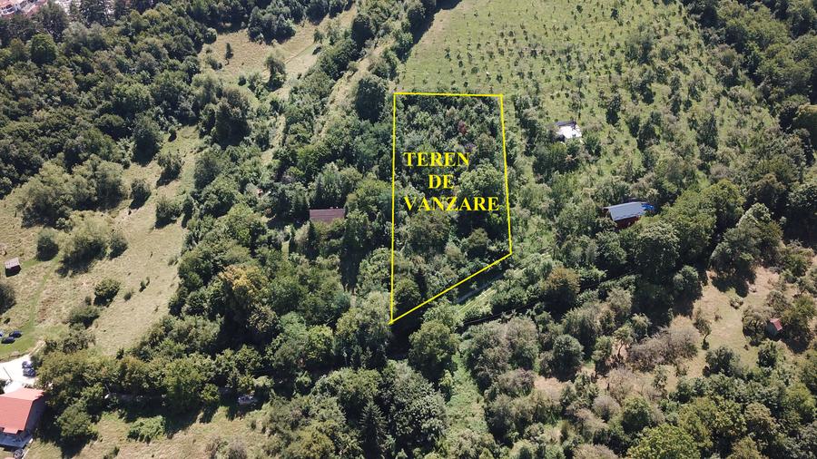 Teren in Scheii Brasovului inconjurat de natura