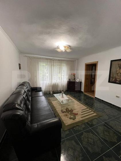 2 CASE, 300mp/700mp, teren 30 ari, zona strada Botizului - 14