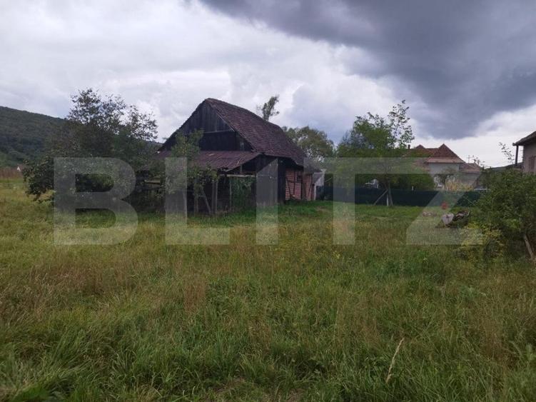 Casa pitoreasca în Viile Tecii cu o grădina de 26 de arii