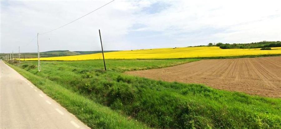 Teren agricol 64 ha comasat| Deschidere 800 m la drum comunal | Utilitati dispon