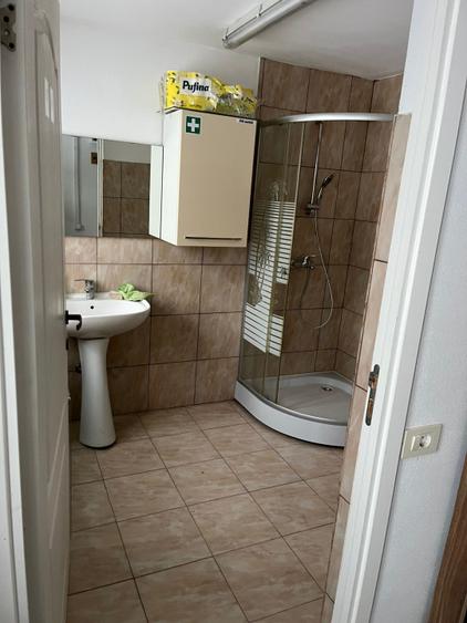 Showroom mobila cu expunere maxima la DN87, Galicea Mare, teren 1.900 mp