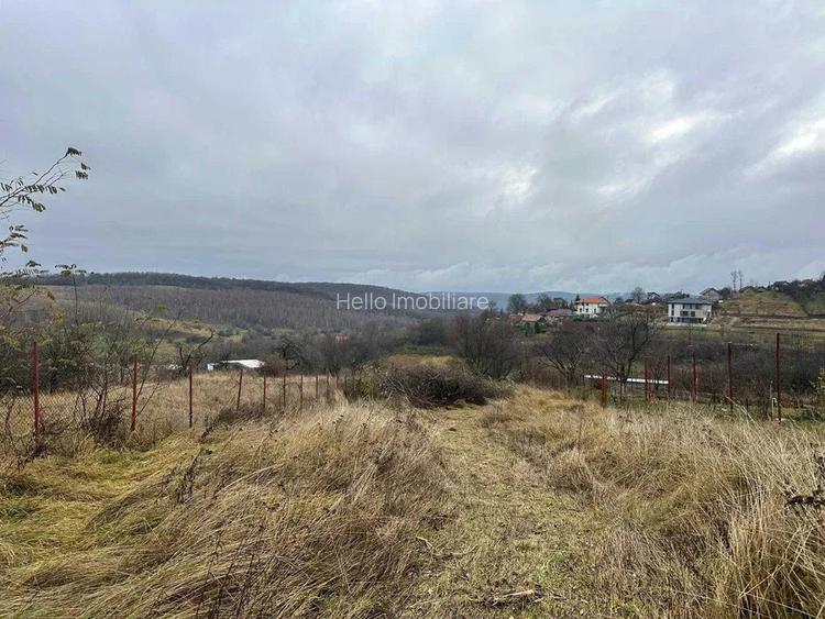 Teren intravilan, 1450 mp,cu front  de 14.5 m  in Feleac - 3