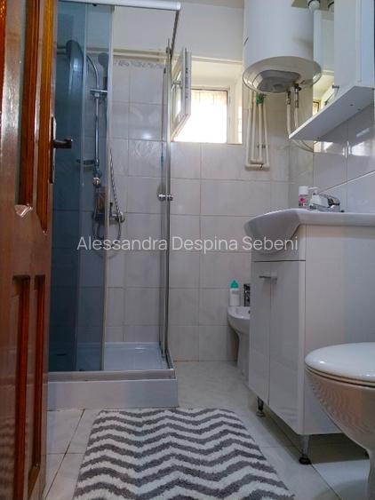 Apartament Gugesti   - 14