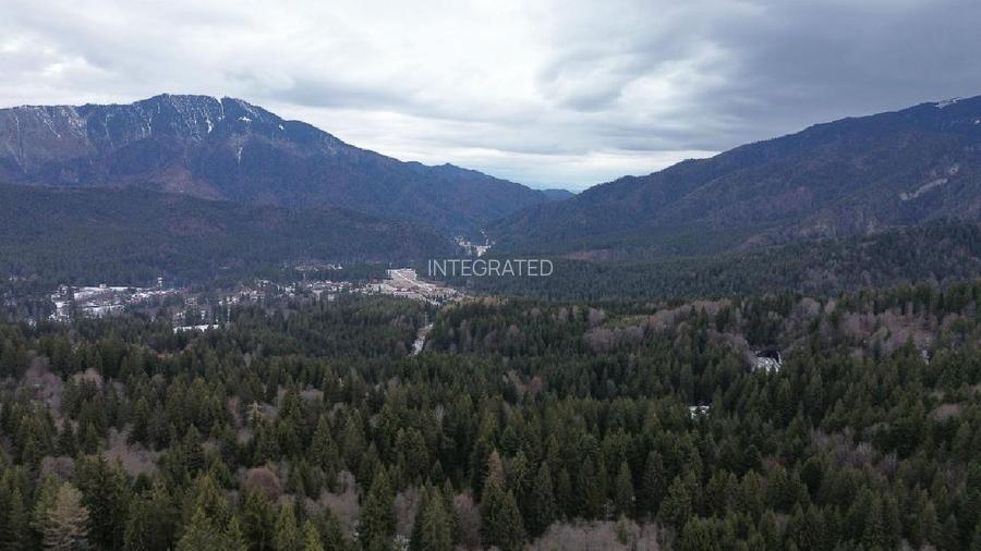 Teren intravilan 3.500 mp Cioplea ~ Predeal - 5
