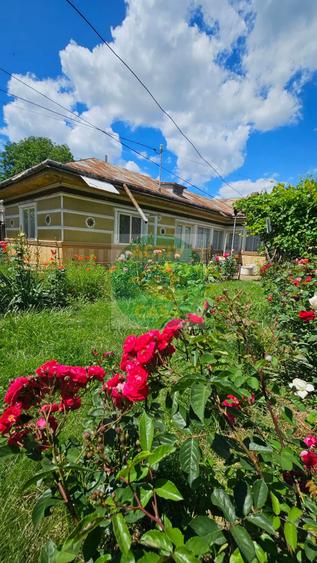 Casa de vanzare su teren de 2.000 mp, Roman Neamt