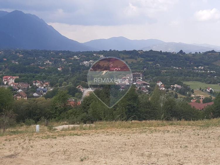 Teren 1,000mp Sohodol, cu utilitati / Strada Sohodol - 12