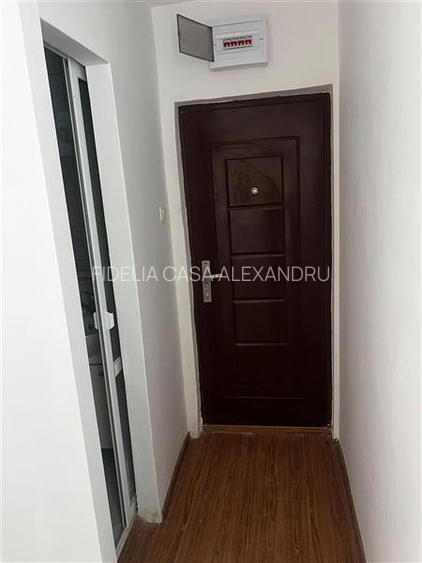 Apartament 1 camera de vanzare  in Alexandru cel Bun - 6