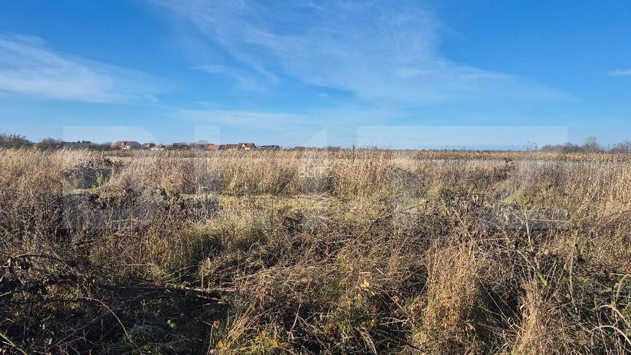 Teren intravilan de vanzare, 900 mp, in Odoreu - 2