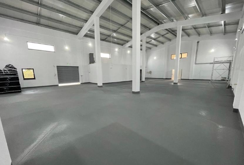 HALĂ MODERNĂ DE ÎNCHIRIAT – CĂCIULAȚI, ILFOV | PRODUCȚIE ȘI DEPOZITARE