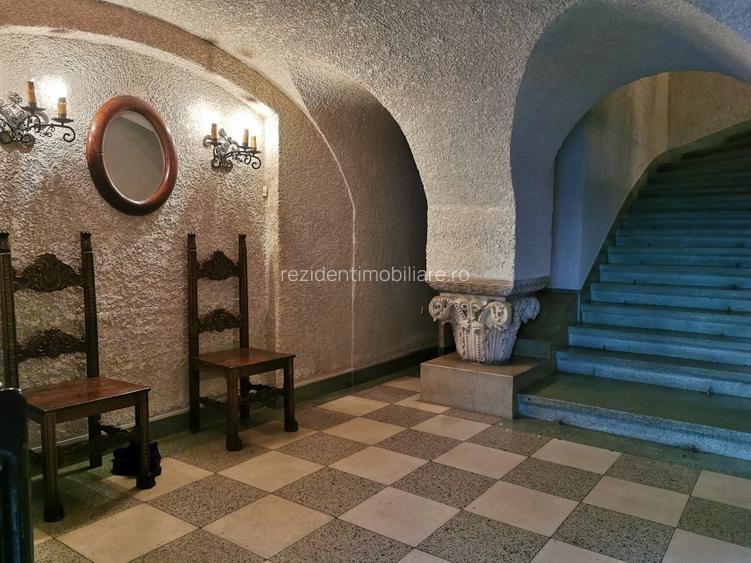 Dorobanti capitale  stil Mauro Florentin curte libera 575mp - 13