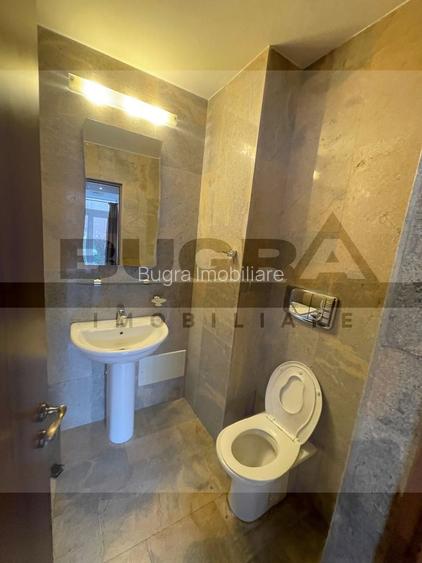 Duplex de 320mp, modern, 120mp, sauna, zona strazii Zaharia Stancu - 9