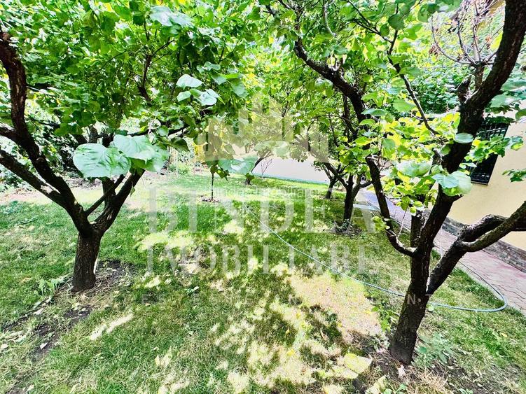Proprietate individuala premium la intrare in Pischia - 15