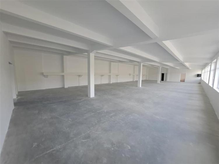 Spatiu industrial, 439 mp utili, situat in zona Taietura Turcului!